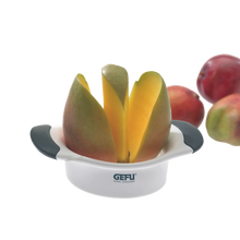 Load image into Gallery viewer, GEFU Mango Divider Parti