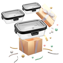 Load image into Gallery viewer, Gefu Rectangular Food Storage Box Deal