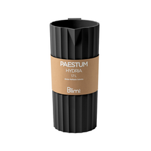 Load image into Gallery viewer, Blim+ Carafe Hydria
