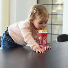 Load image into Gallery viewer, Kambukka Lagoon Love Birds Water Bottle with Straw Lid - 400 ml - Room+