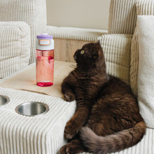 Load image into Gallery viewer, Kambukka Elton Water Bottle with 3 in 1 Snapclean® Lid Pink - 500 ml
