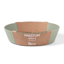 Load image into Gallery viewer, Blim+ Nettuno Bowl Large
