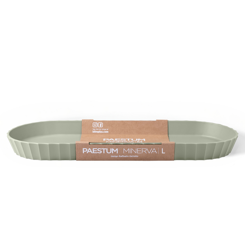 Blim+ Minerva Tray Large in green, with its paper packaging band