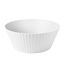 Arctic White
