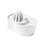 Arctic White