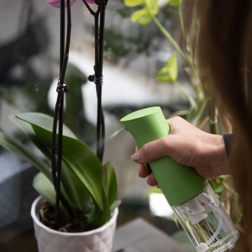Zuutii Oil Sprayer in green, being used to mist a houseplant