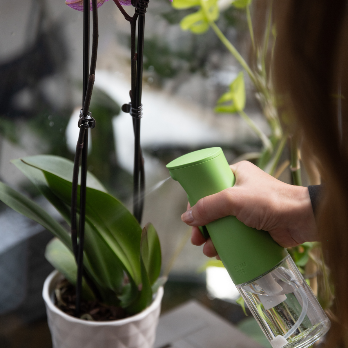 Zuutii Oil Sprayer in green, being used to mist a houseplant
