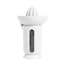 Arctic White