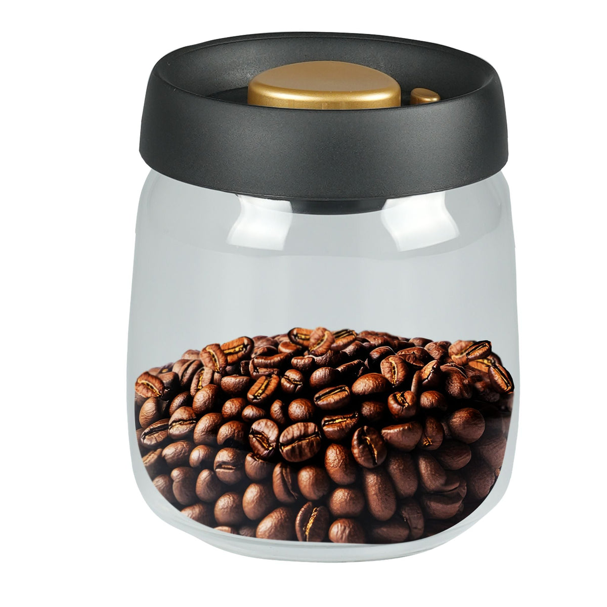 Aerolatte Aerostor Vacuum Storage Container Medium