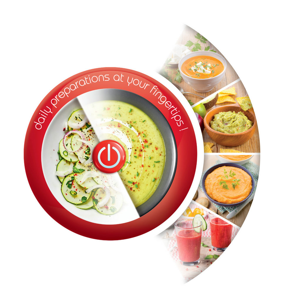 Moulinex Easy Chef 2 in 1 Hand Blender